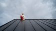 Commercial Roofing Solutions